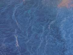 우리는 또다시 파도가 치는 곳으로