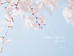 [단편 / 한구웬시] 나의 작은 여왕에게