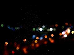 사랑이 머무는 자리