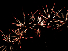 [유현예림] 불꽃놀이