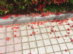 [동거일지] 서로에게 충실한 사람