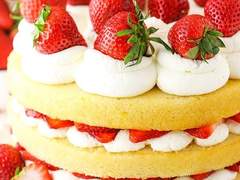 닥스토니 - cheek to cheek