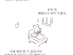 배배로데이 송성톢