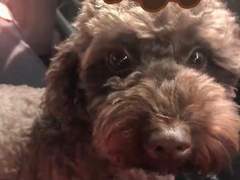 190925 토르 인스타