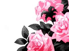 ♤어차피 아무리 존재감 있는 장미라도 결국 언제가 시들어버리잖아✧