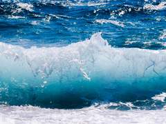 [토니피터] Wanderer Fantasy 1