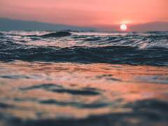 [사의찬미×스모크] 生