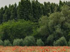 틱톡커들 모여랍