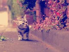 ◆어쩜 그리 똑같니♧