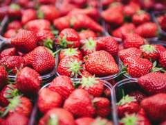 [단편] 오 나의 김선생님(오나김) 下 (完)