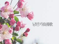 [태구화평] 낭만가(浪漫歌)