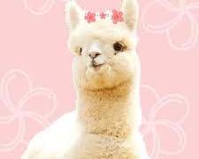 뷔진정 수인물썰.