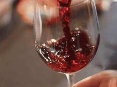 ◆태양은 그 어떤것보다 살기를 원했다¿