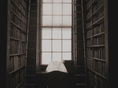 삼하인의 탐험 일지