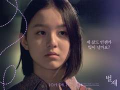 벌새 단관 상영 정산 안내