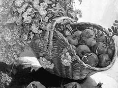 망상이론罔象異論