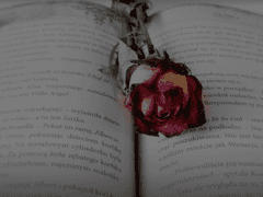 [이솝에밀] 구원의 종말