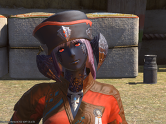 Lv 65. [누나의 걱정] {이어지는 퀘스트}