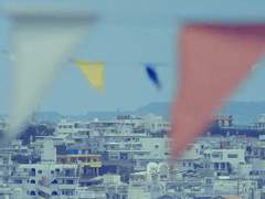 하루, 인 생 네 컷#