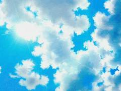 그 여름에 너는,