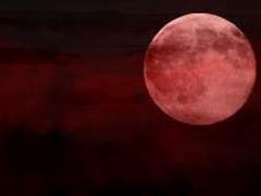 [장편] 2.붉은 달_시작된 변화