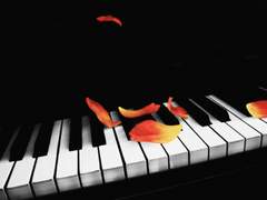 [젼훈/죵훈] 피아니스트