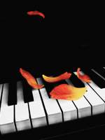 [멤버십전용] VIP