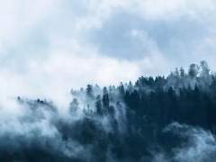 龍開靑花-첫번째 소문 (2)