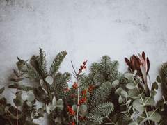 [사이퍼즈] 지독한 크리스마스