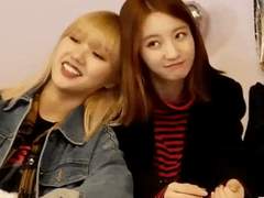 [밈빈] 소설가 곰돌씨의 하루