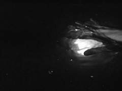 [혁켄] Blue Dream ⑮