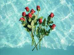 이다지도 서글픈 밤이면 돌아가고 싶다