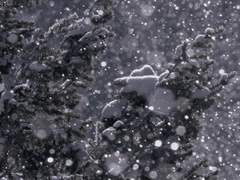 그 후, 5년, 그 사이