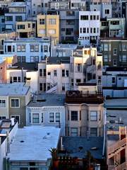 거리에 나와보니 나 뿐이다.