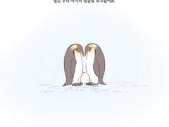 [슙국] 슈가와 쿠키 -1-