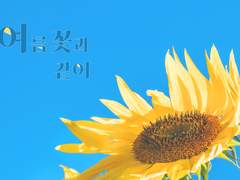 [현제유진] 여름꽃과 같이 01