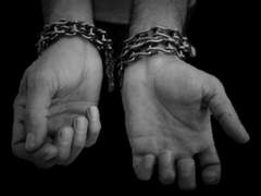 Цирковой слон