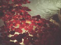 [중혁독자] 황궁연애담(皇宮戀愛談) 2