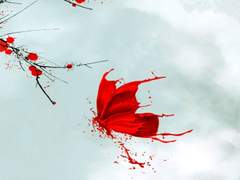 2 아메리칸브런치 (3화 중)