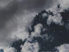 습기 찬 이 밤과 교제하고 싶어 해*