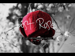 Lost Rose,