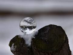 [션쿤 / 시간의 거울]