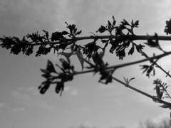 재철재은│중독