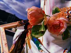 youth-the charm of passion