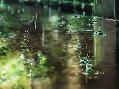 후궁계약 │ 흑립 호족