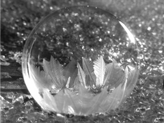 [Ep.3] 조작된 시대(A Midwinter Night's Dream)