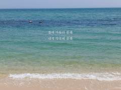 [배경화면] 일코용 가사 배경화면