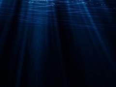 침묵, 그 짧은 시간.