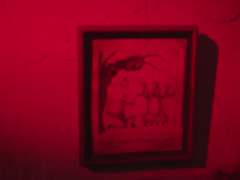 [미인] 잭의 노래