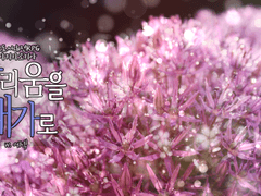 마기카로기아 시나리오 「알리움을 대가로」